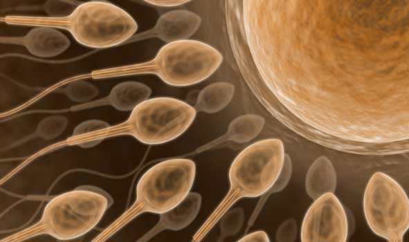 Stresin Spermlere Zararı Nelerdir ?